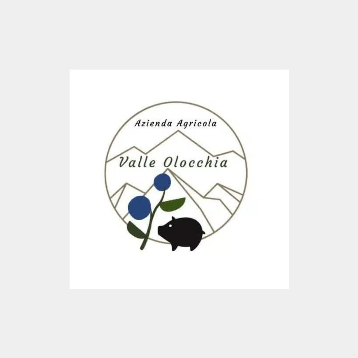 AZIENDA AGRICOLA VALLE OLOCCHIA